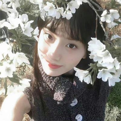 冰洋遇险