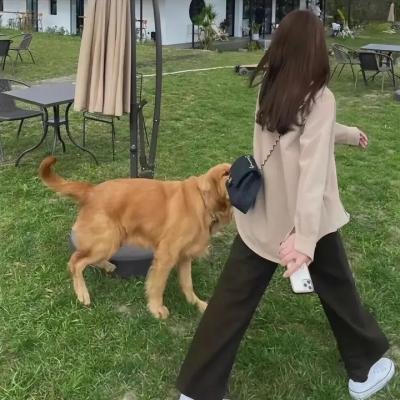 心灵筑动