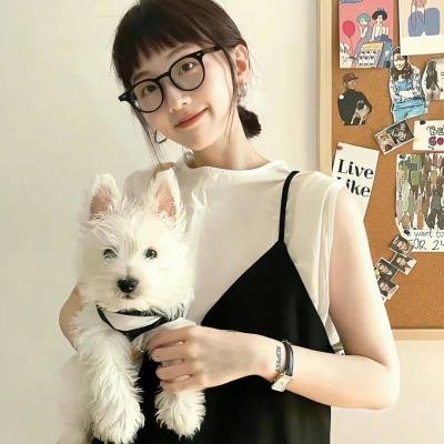 派特森与芬达猫4